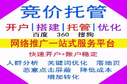 SEM推广实战：成功案例剖析